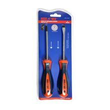 Destornillador 2 piezas pala 6x100mm -estrella PH2x100mm DISCOVER